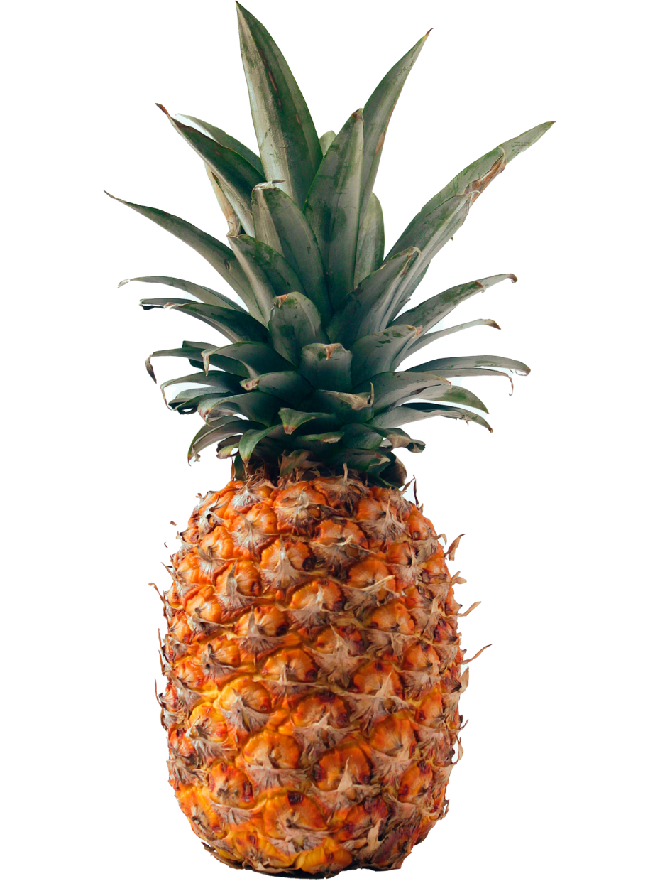 Best vegetable and fruit shop in Raipur