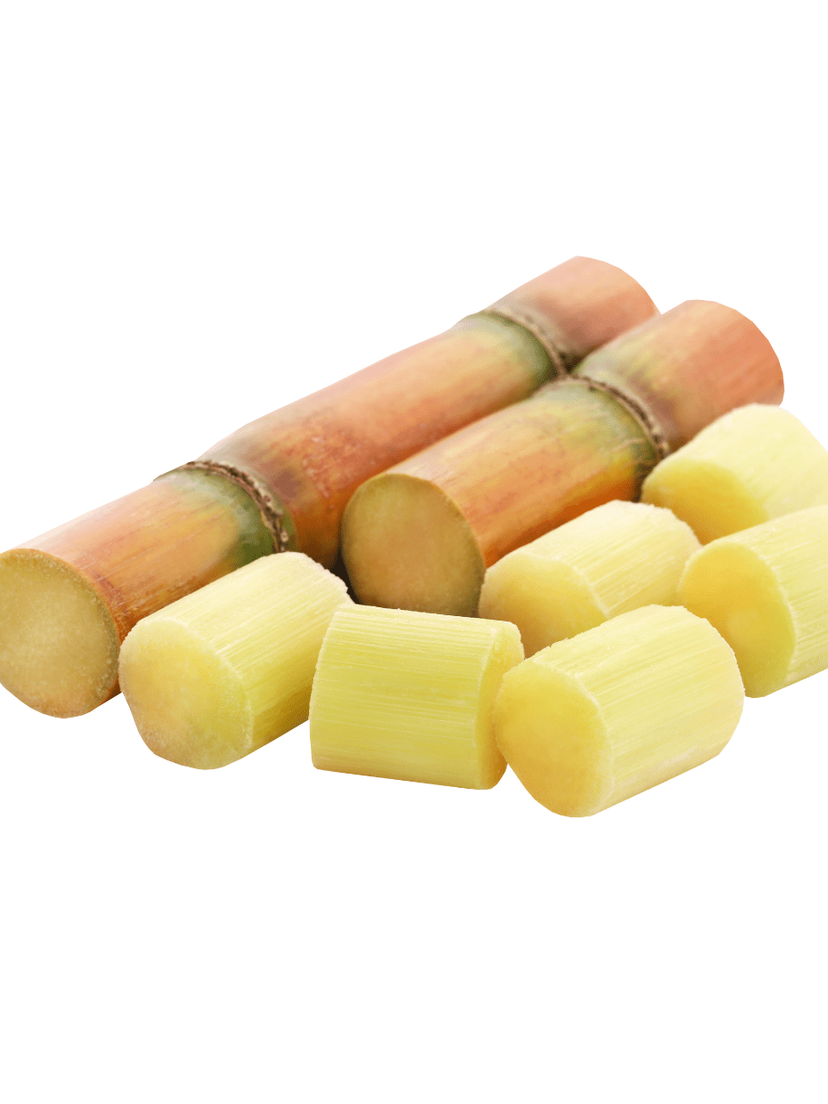 Best vegetable and fruit shop in Raipur
