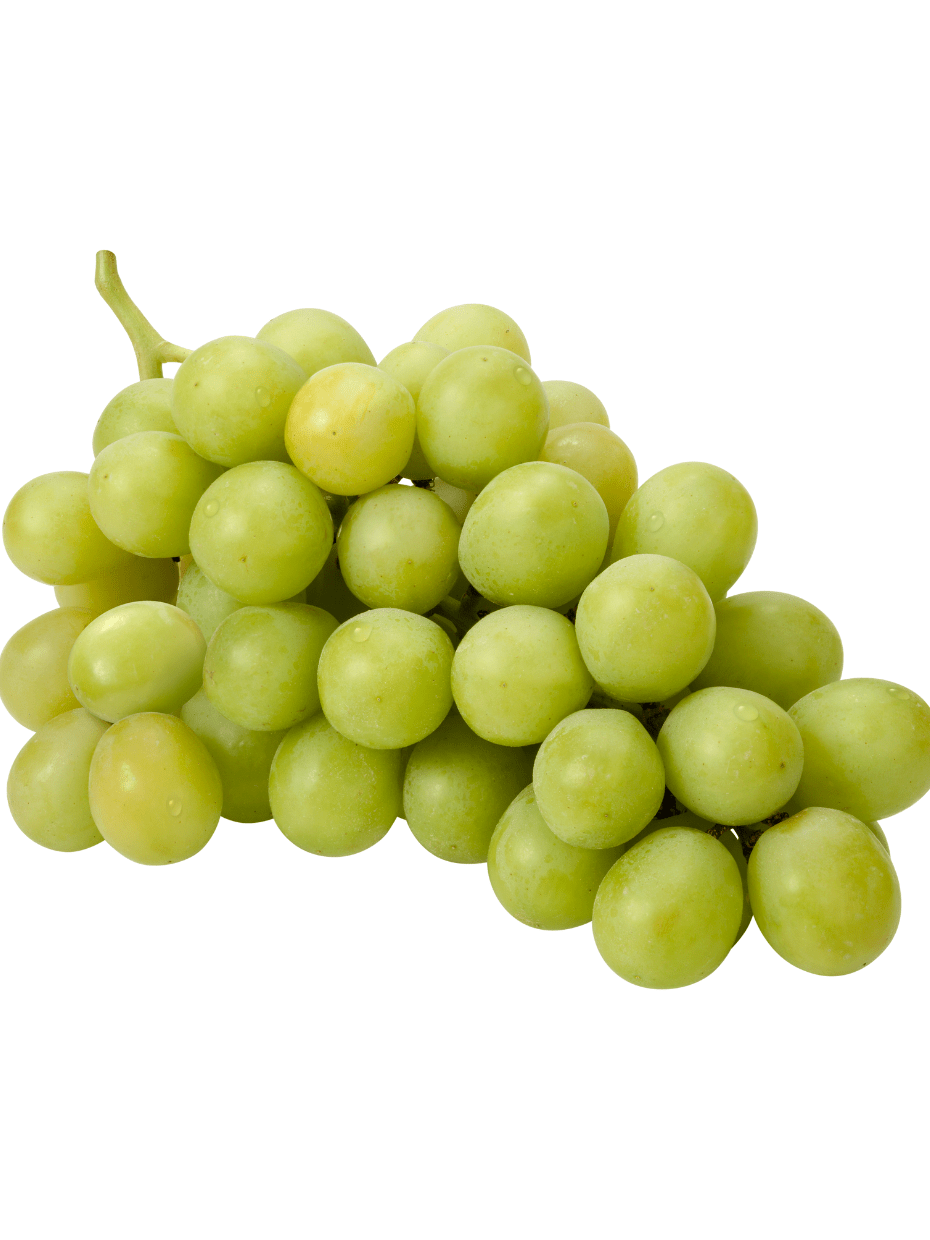 Best vegetable and fruit shop in Raipur