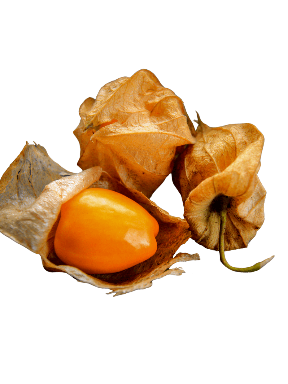 Best vegetable and fruit shop in Raipur