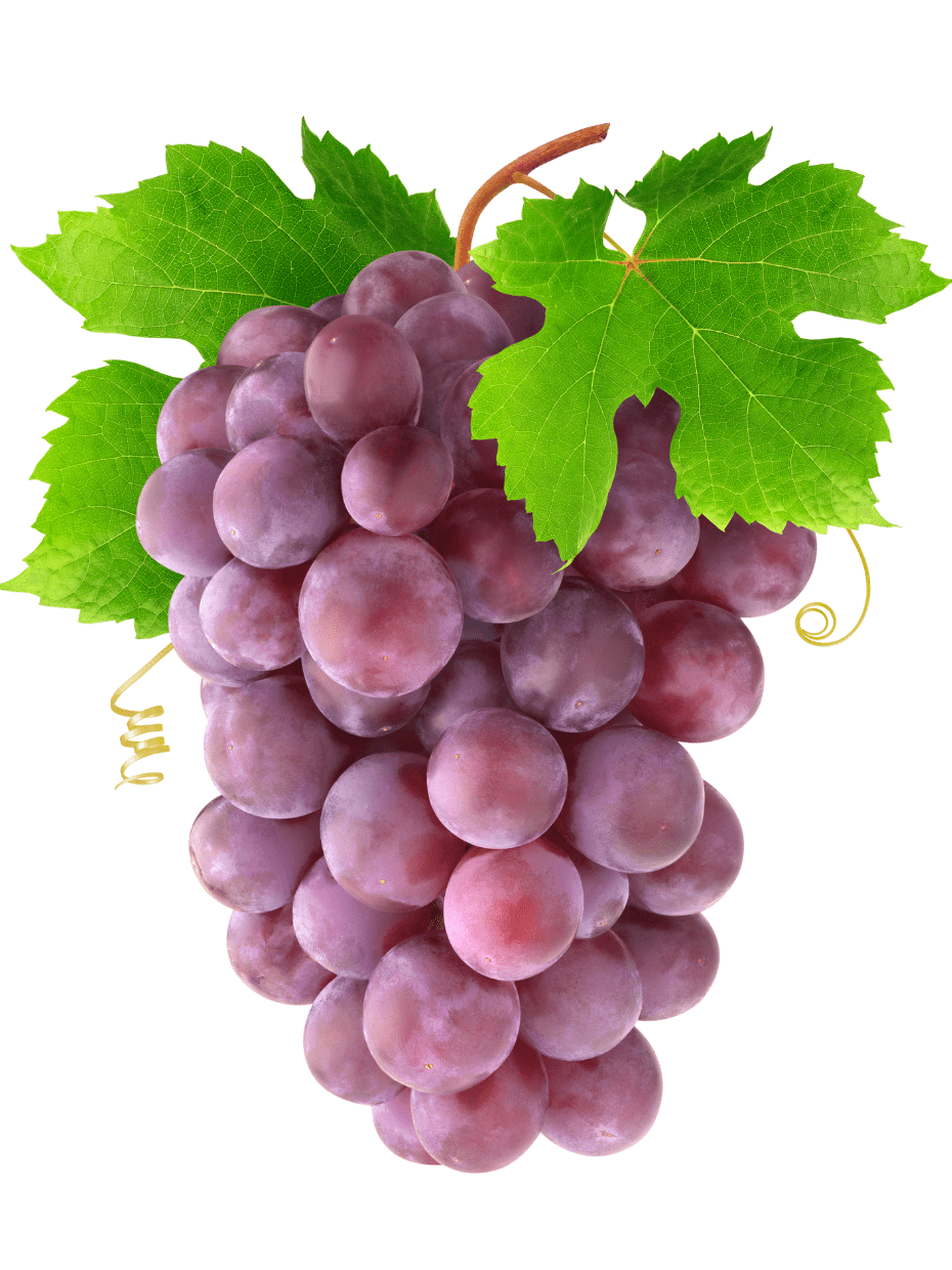 Best vegetable and fruit shop in Raipur