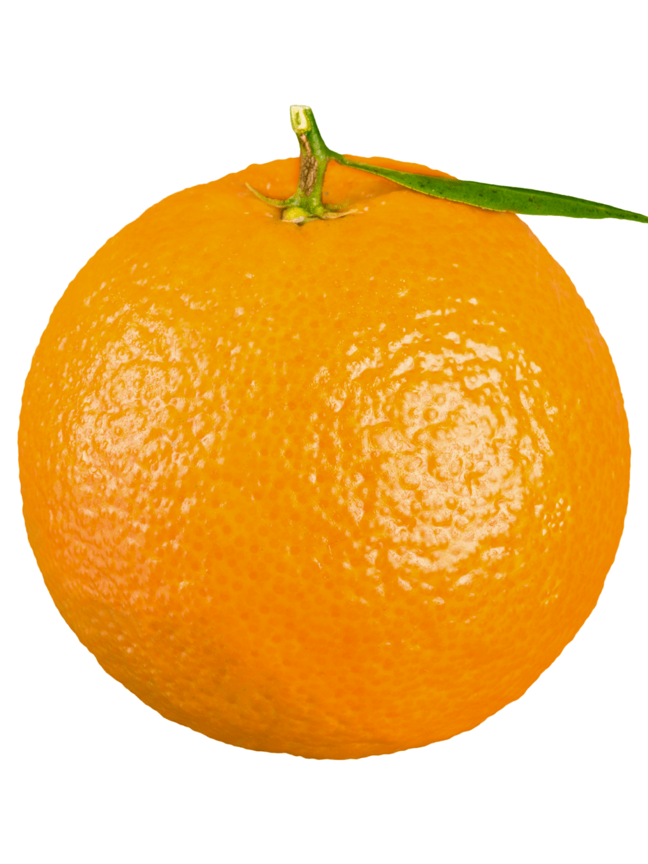 Best vegetable and fruit shop in Raipur