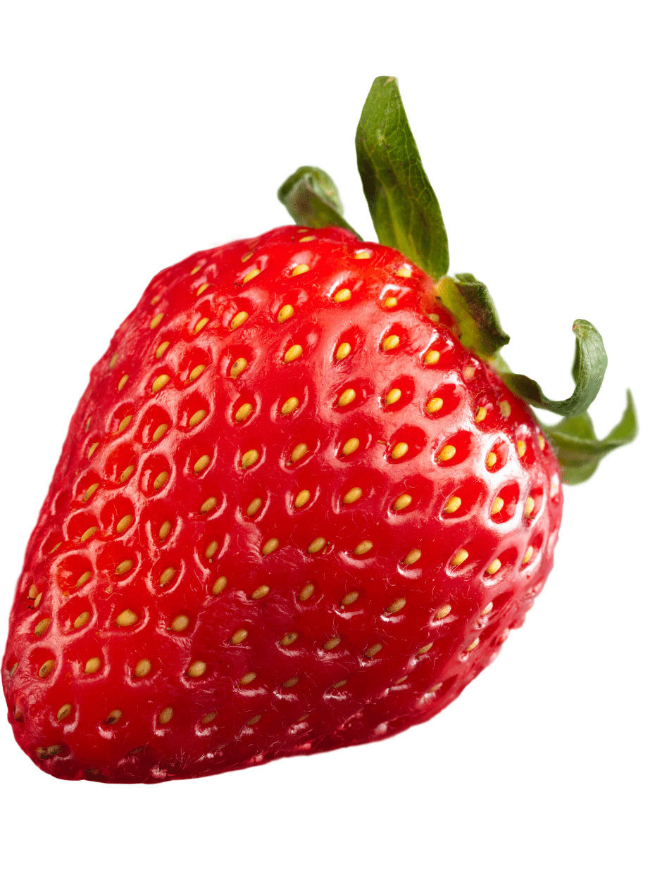 Best vegetable and fruit shop in Raipur
