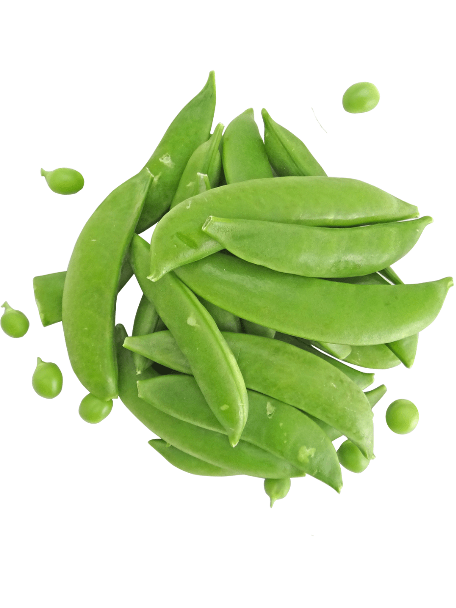 Best vegetable and fruit shop in Raipur