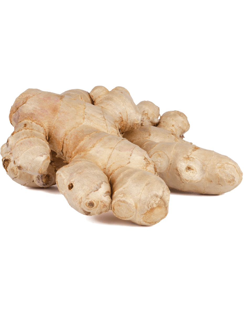 Best vegetable and fruit shop in Raipur