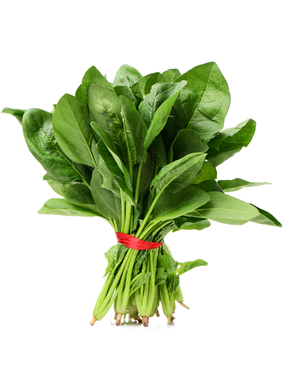 Best vegetable and fruit shop in Raipur