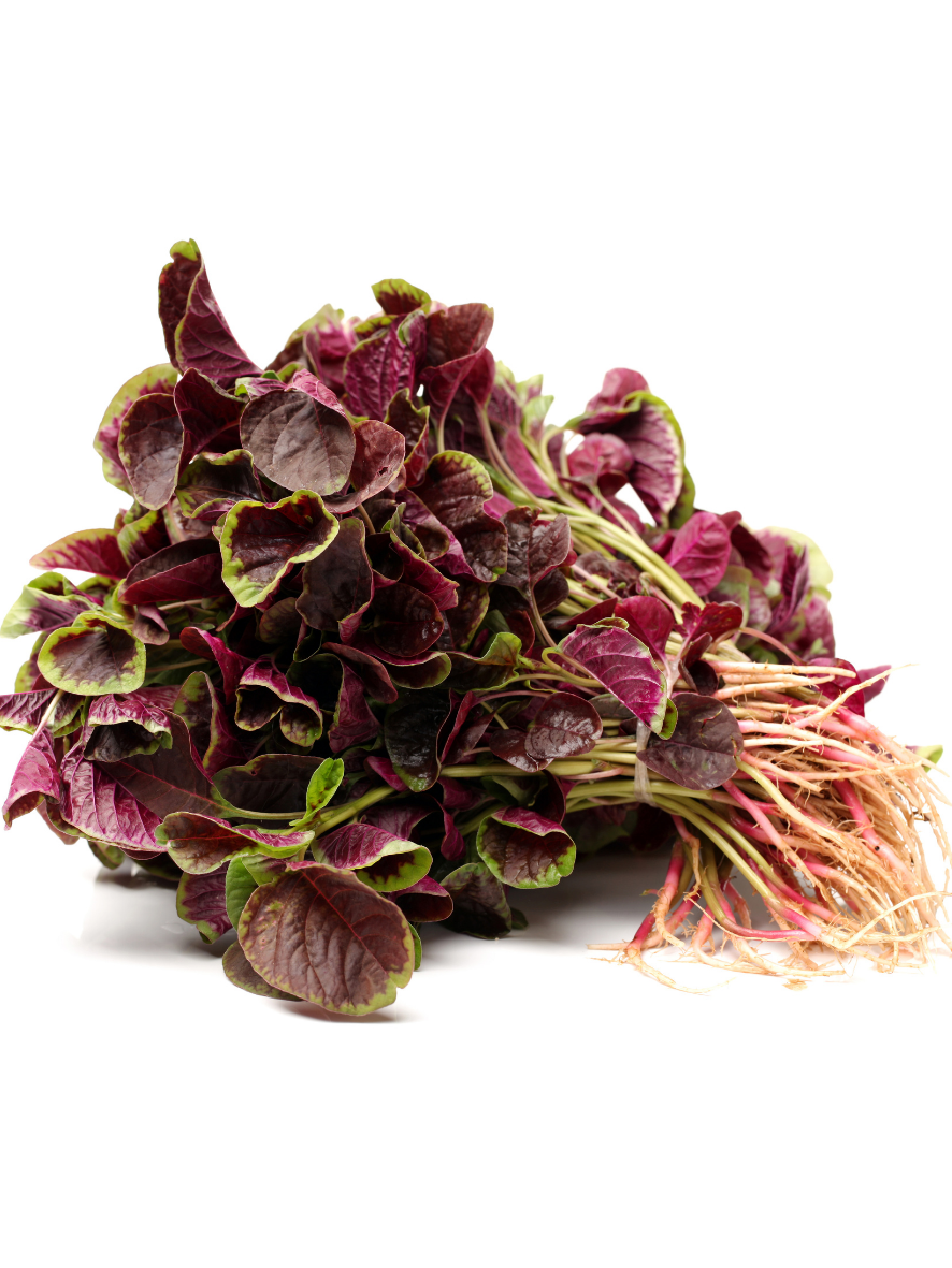 Best vegetable and fruit shop in Raipur