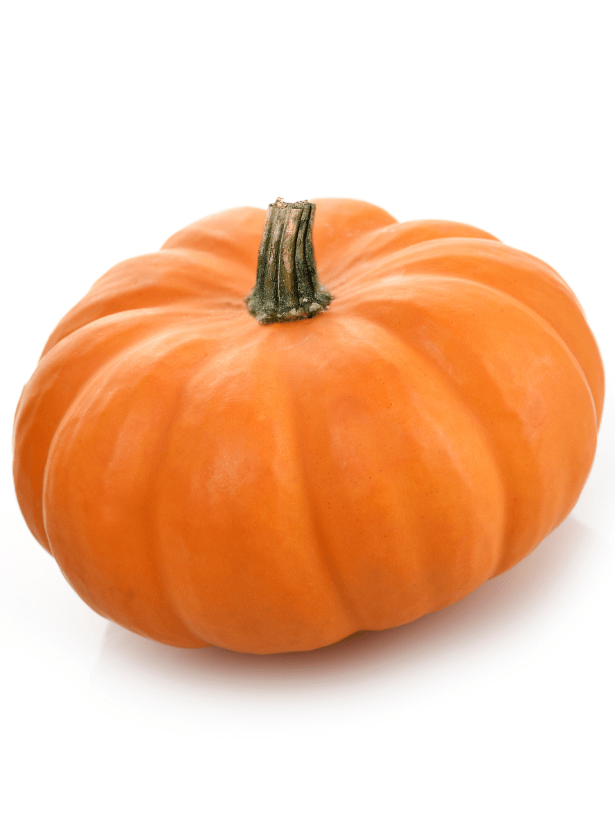 Best vegetable and fruit shop in Raipur