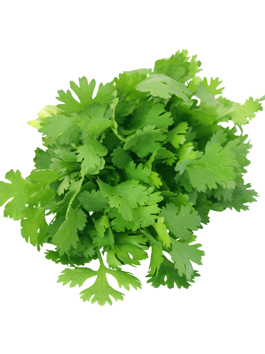 Best vegetable and fruit shop in Raipur