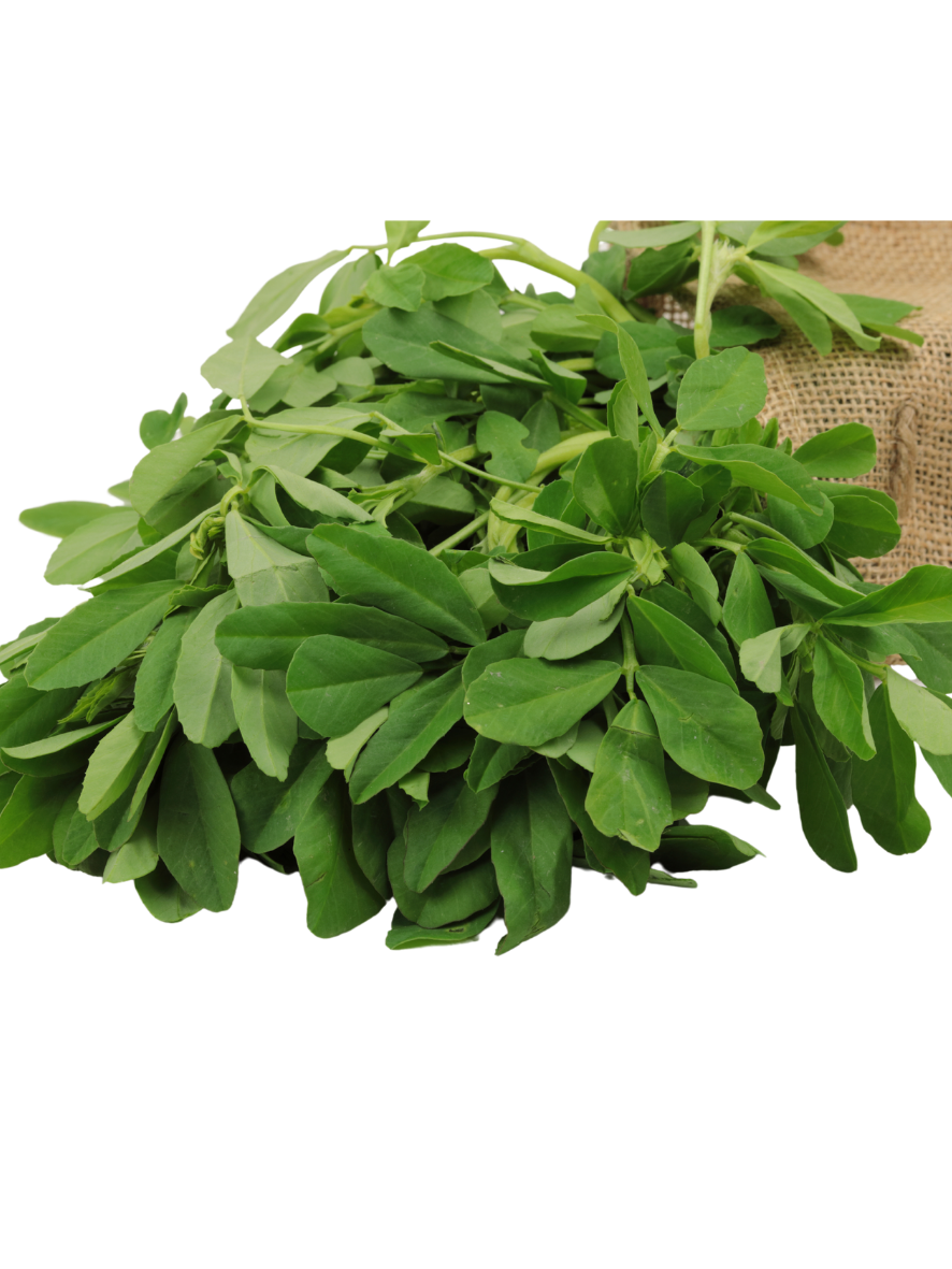 Best vegetable and fruit shop in Raipur